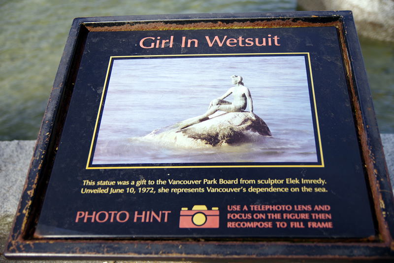 Girl In Wetsuit
